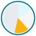 Digital Workplace pie chart